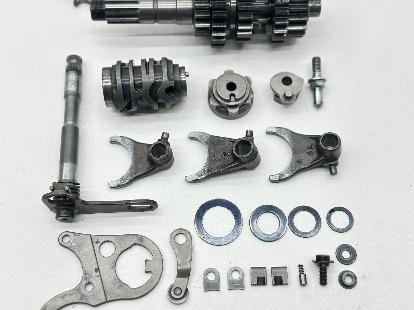 Image #4